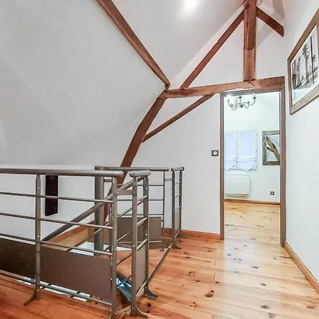 Pet Friendly In *
