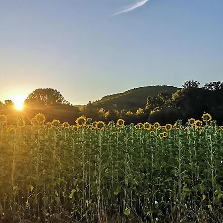 Holiday home Pet Friendly In Sarlat-la-Caneda
